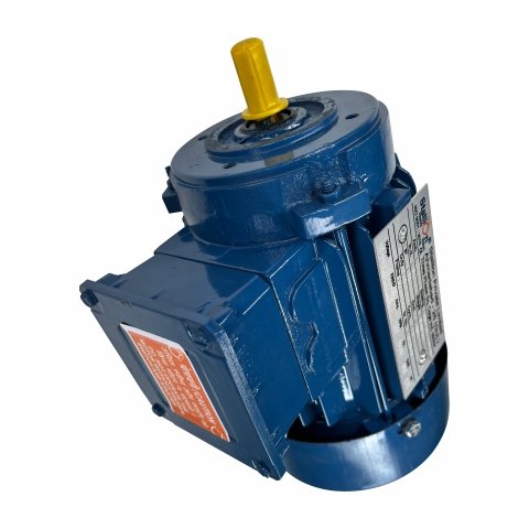 Face Mount Induction Motor