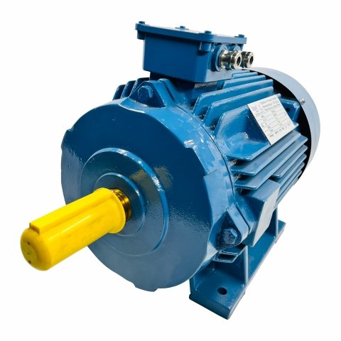 Foot Mount Induction Motor